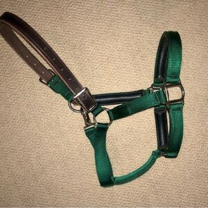 Padded nylon breakaway halter leather crown hunter green